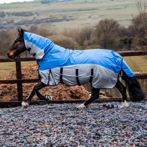 How Do I Ensure the Rug Fits My Horse Properly Without Restricting Movement or Causing Rubbing?